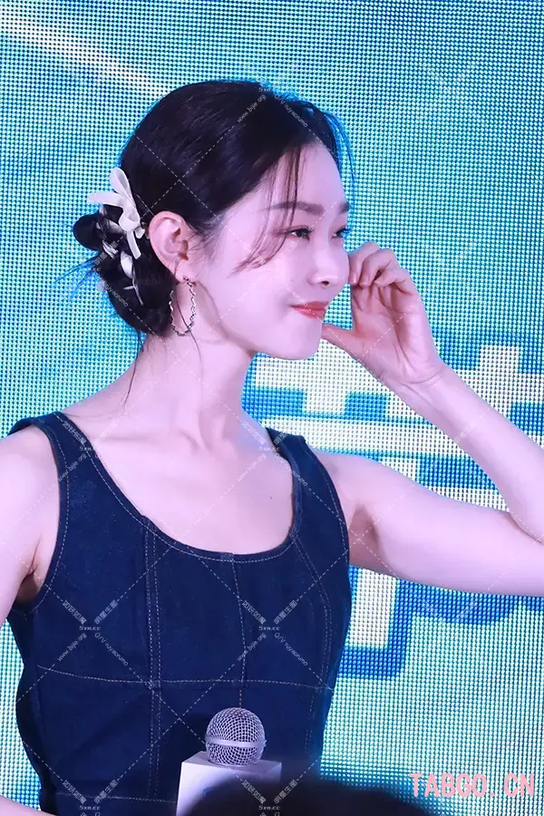 宋轶