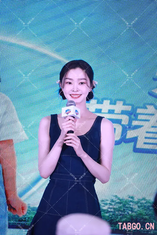 宋轶