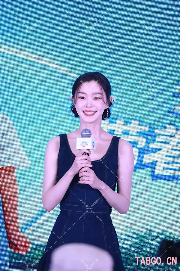宋轶