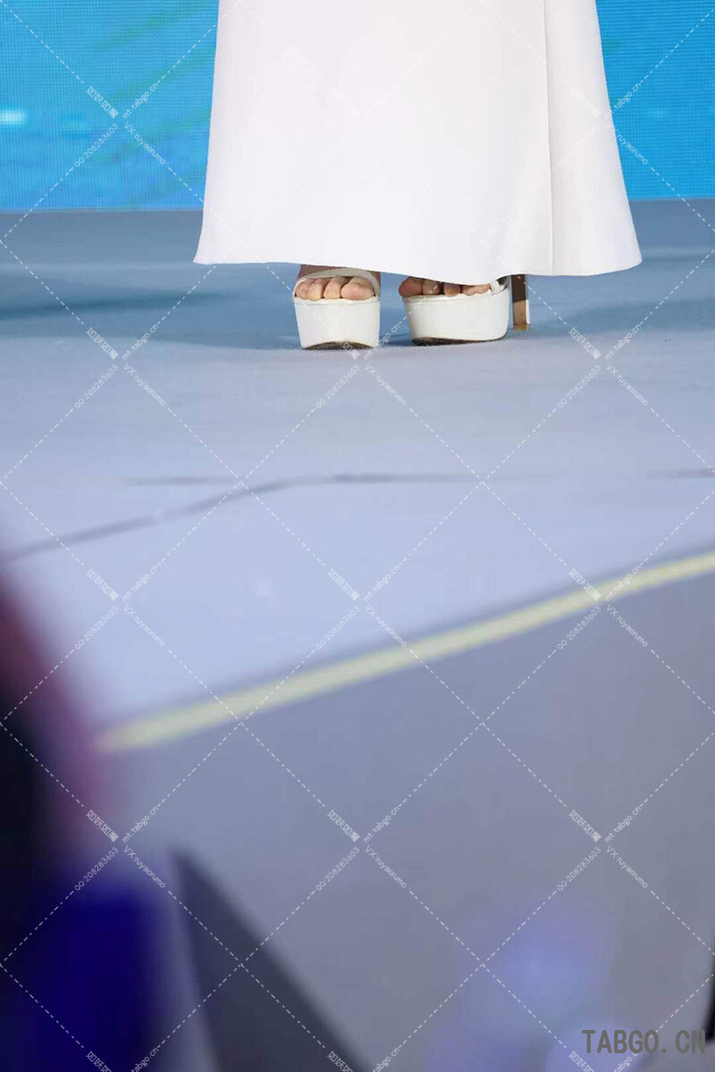 宋轶