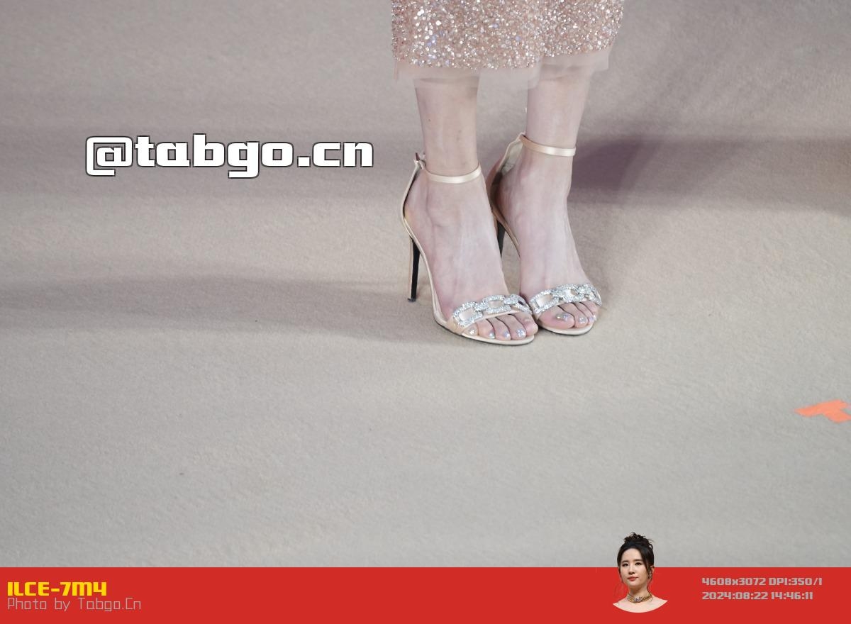 tabgo_cn_2024-08-22T07-39-08.368Z.webp