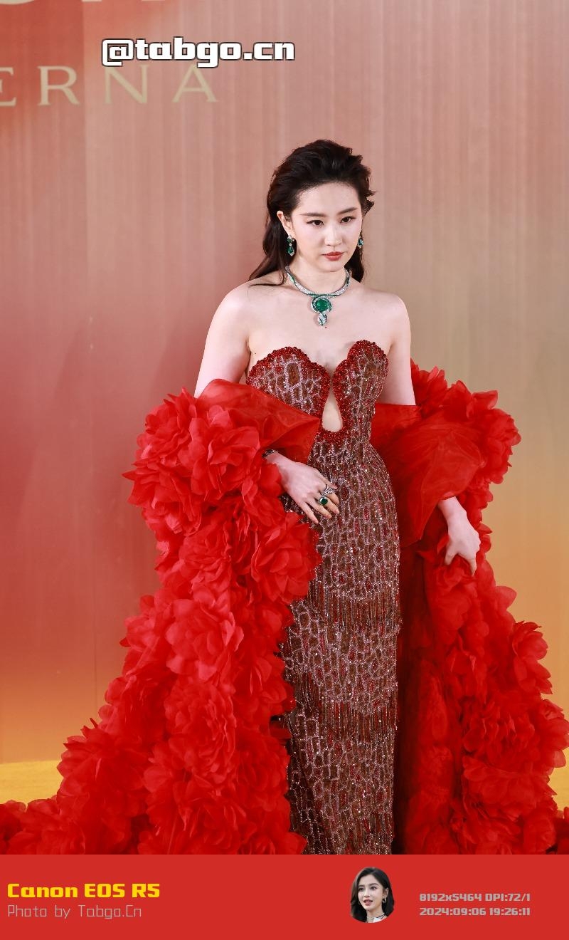 【已出】刘亦菲 宝格丽红毯 怼脸特写
