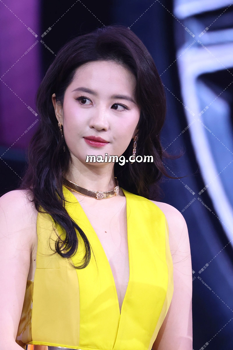 img_680130c00477f3.75906152.webp