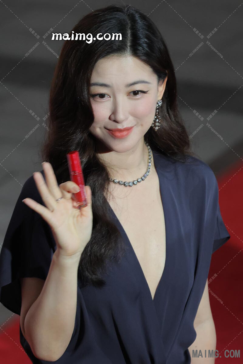 朱珠 阿玛尼红毯 