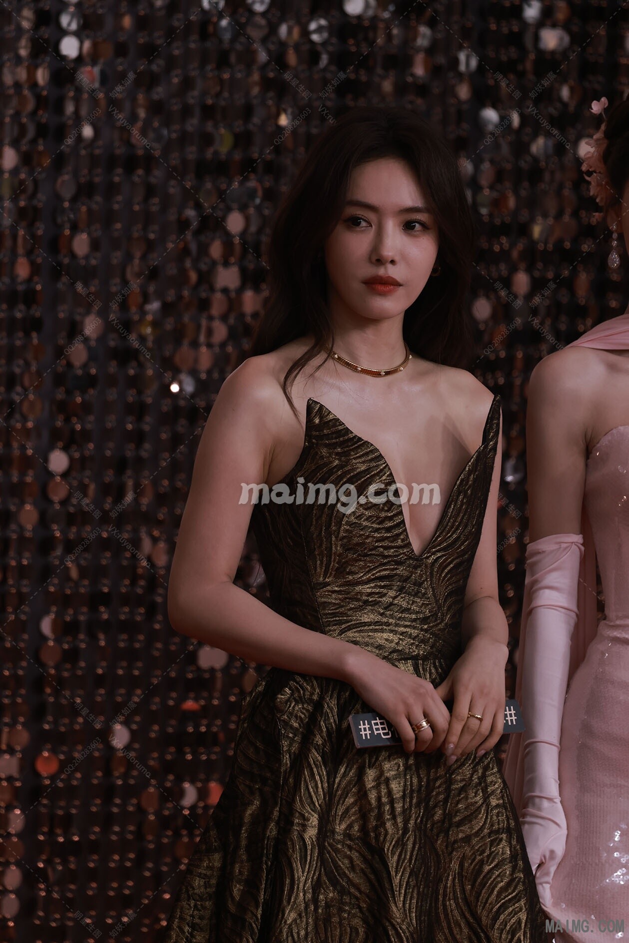 蔡文静 微博微视之夜红毯