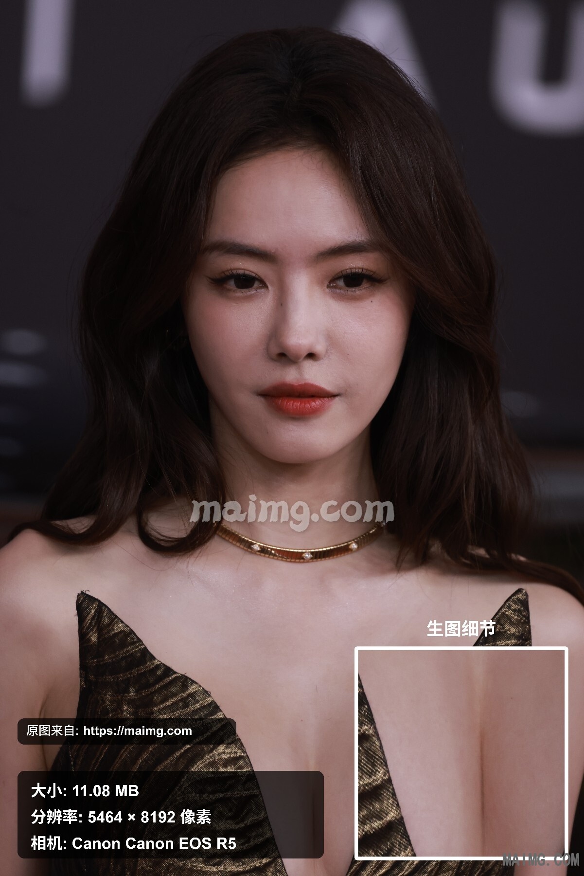 蔡文静 微博微视之夜红毯