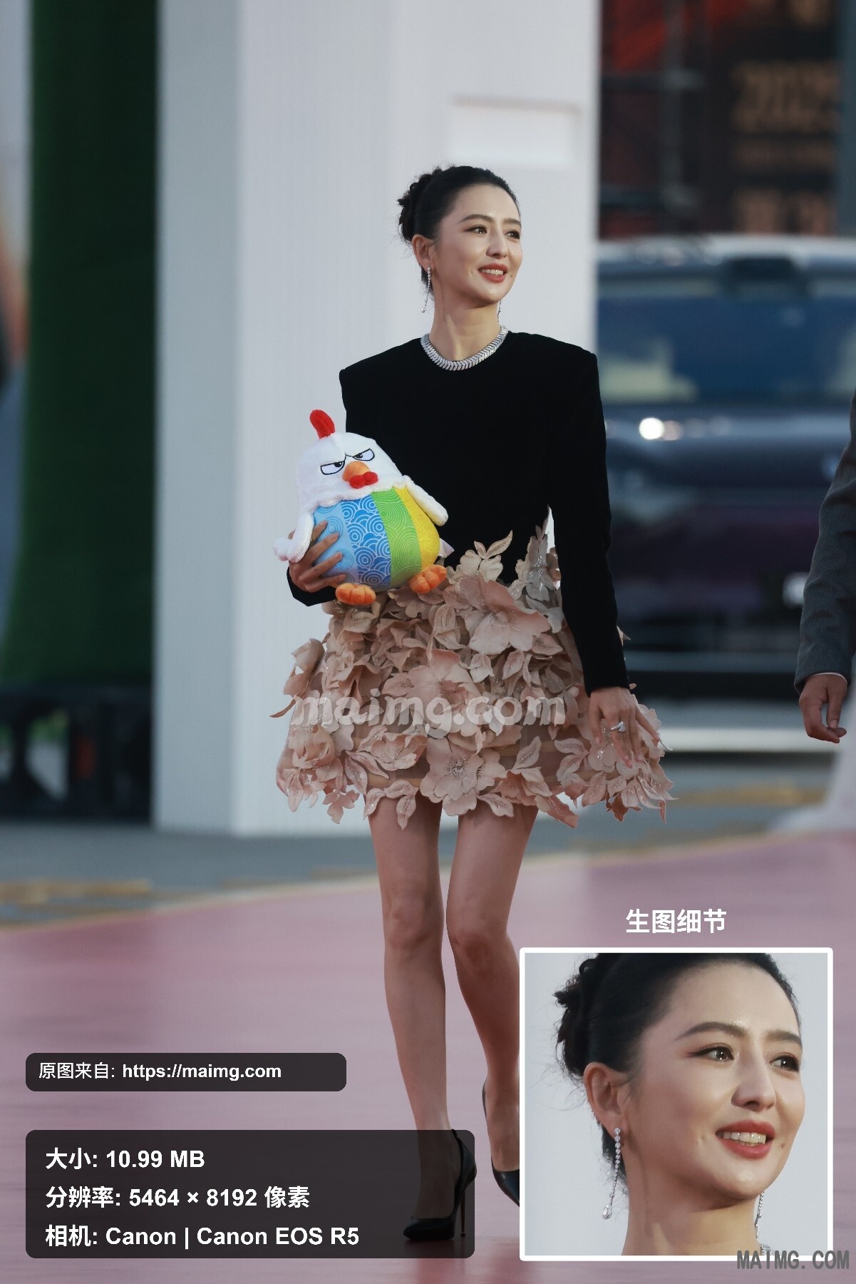 佟丽娅 金鸡闭幕红毯 