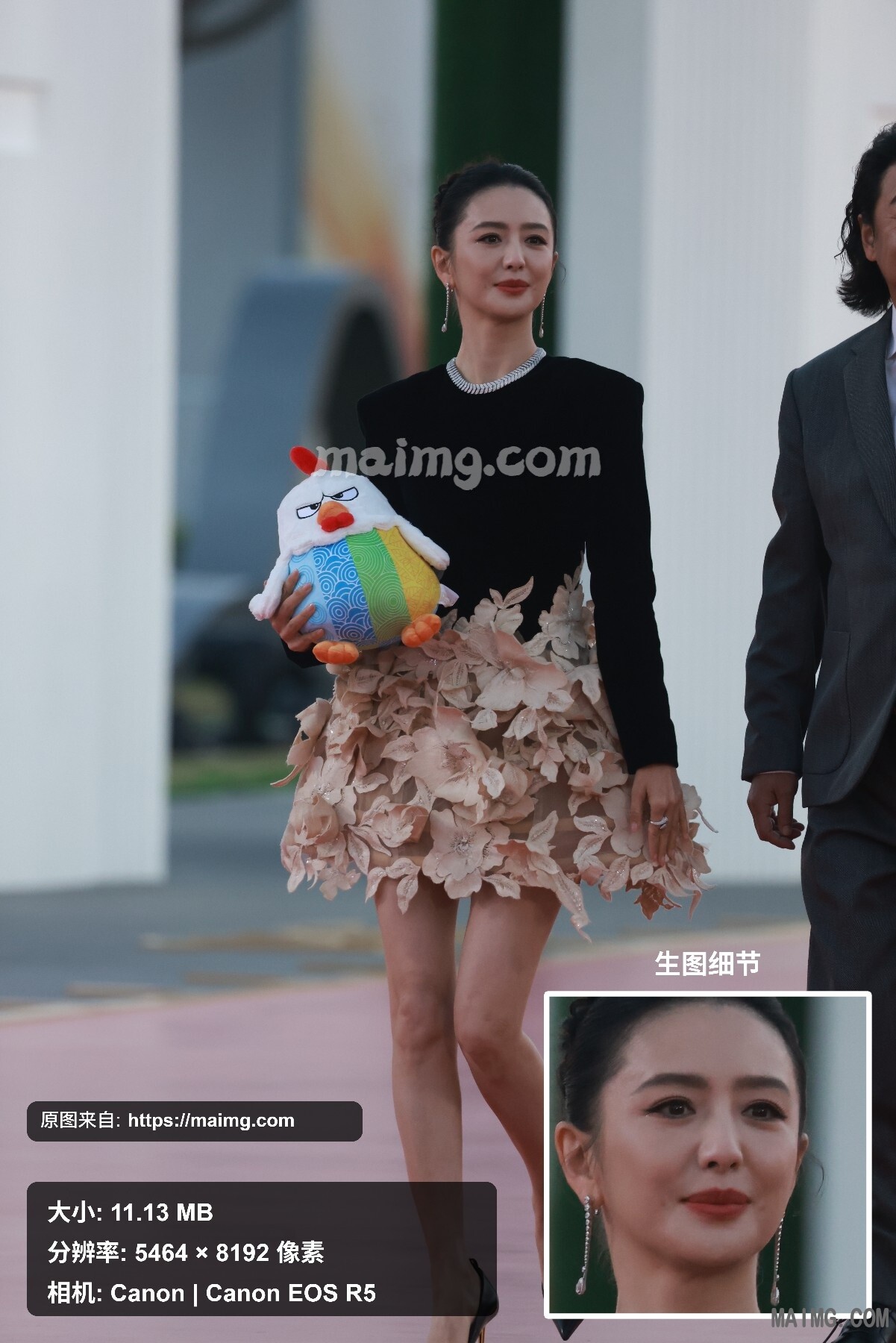 佟丽娅 金鸡闭幕红毯 