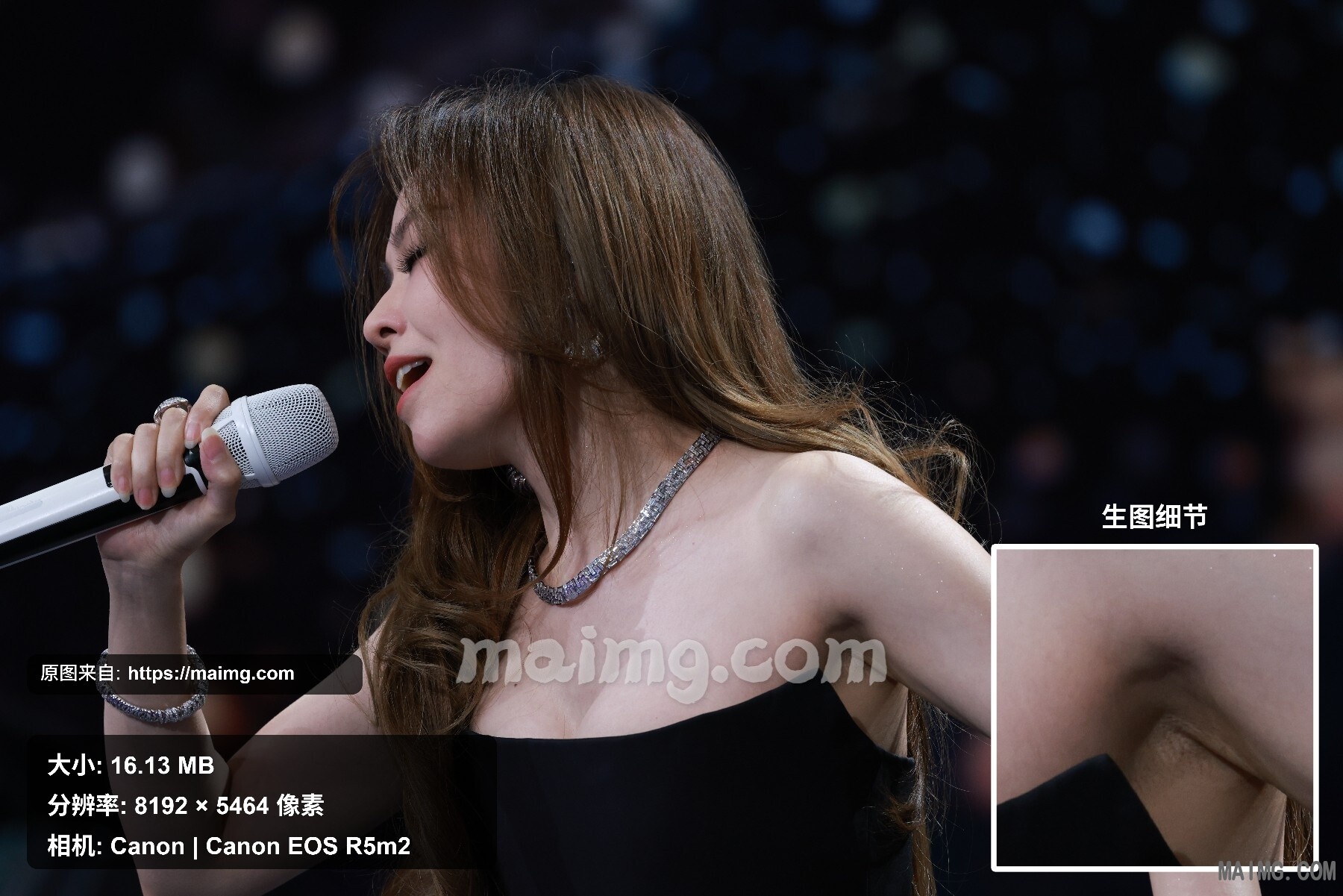 张靓颖 车展站台