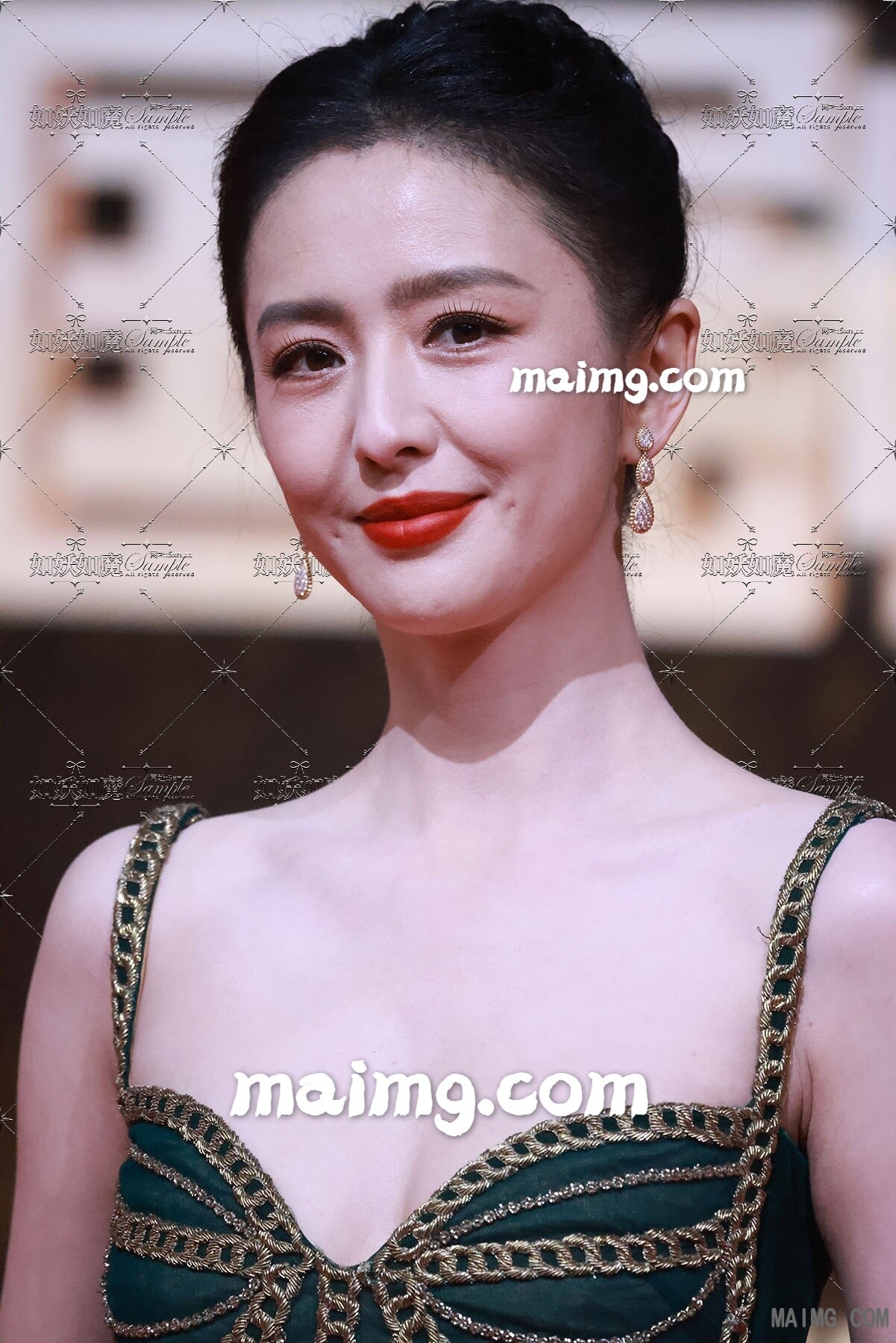 佟丽娅 搜狐红毯